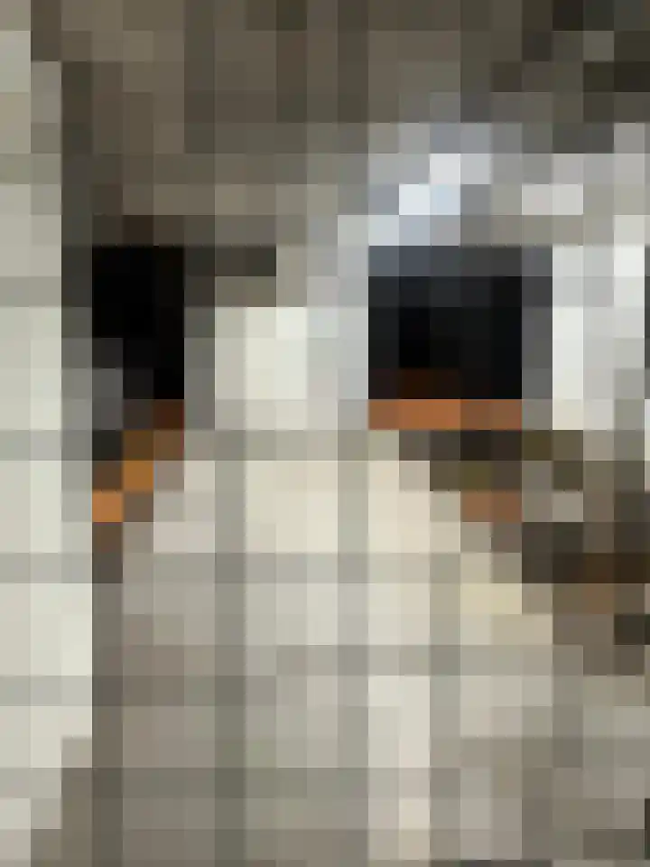 Vossiusstraat 65 Amsterdam thumbnail 6