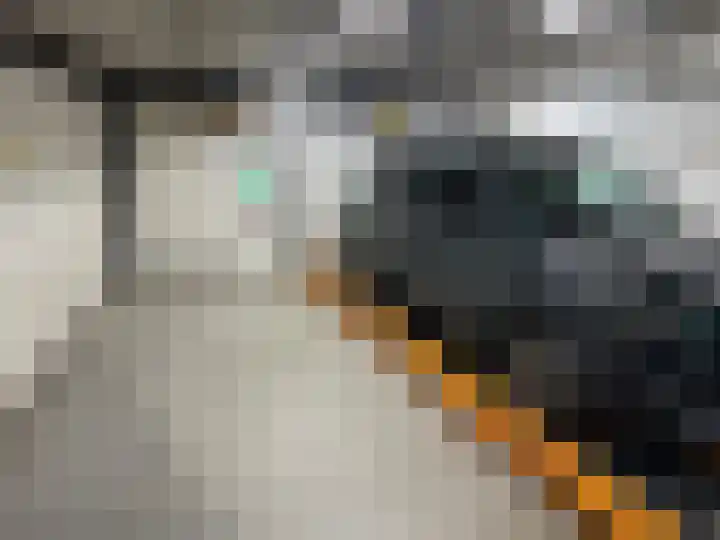 Vossiusstraat 65 Amsterdam thumbnail 7