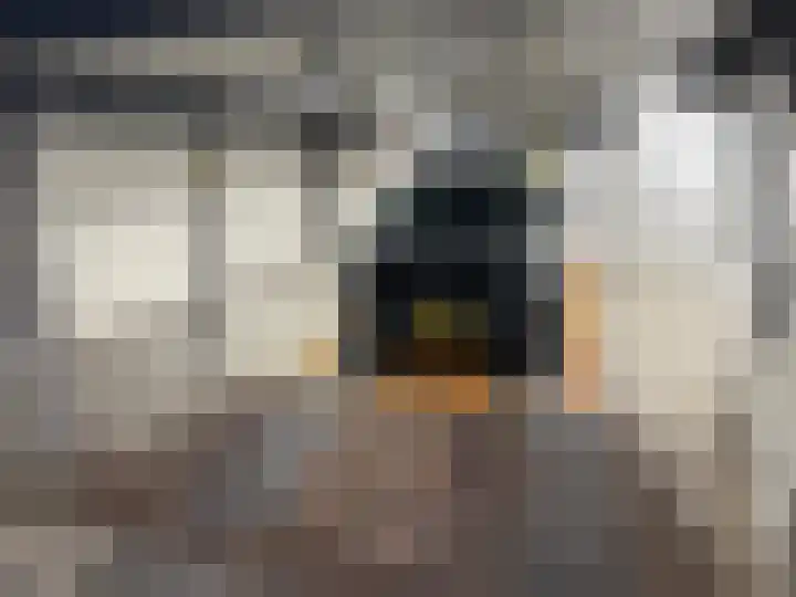 Vossiusstraat 65 Amsterdam thumbnail 9