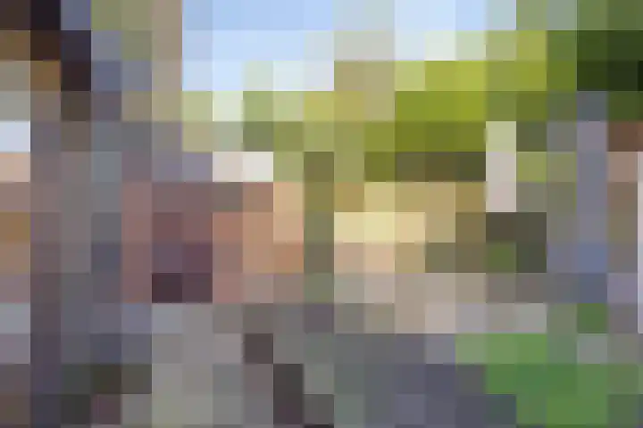Vouerweg 31 Sittard thumbnail 38