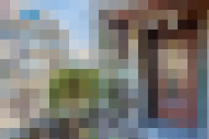 Vouerweg 31 Sittard thumbnail 4