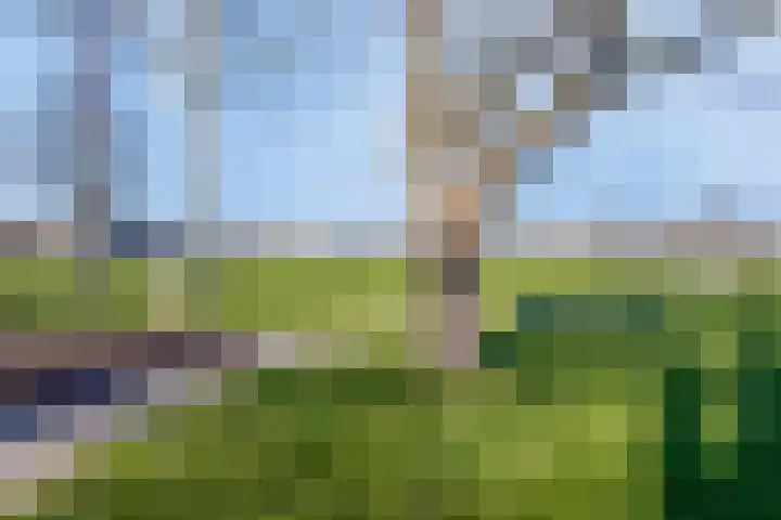 Vouerweg 31 Sittard thumbnail 42