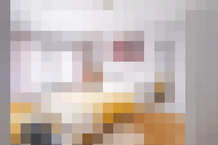 Vrangendael 114 Sittard thumbnail 10