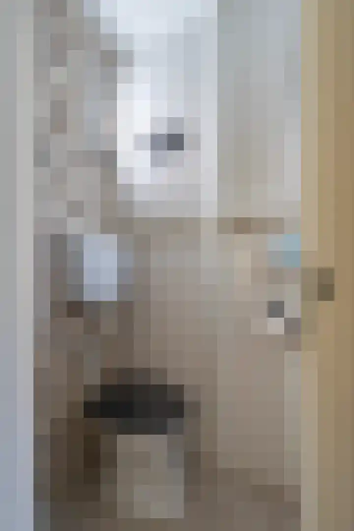 Vrangendael 114 Sittard thumbnail 8