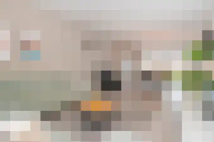 Vrangendael 40 Sittard thumbnail 24