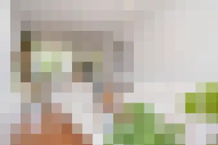 Vrangendael 56 II Sittard thumbnail 12