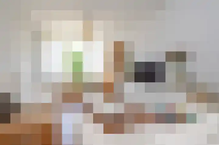 Vrangendael 56 II Sittard thumbnail 17