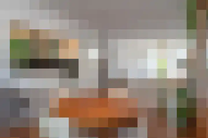 Vrangendael 56 II Sittard thumbnail 18