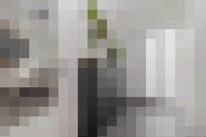 Vrangendael 79 Sittard thumbnail 10