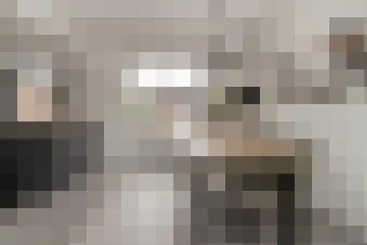 Vrangendael 79 Sittard thumbnail 15