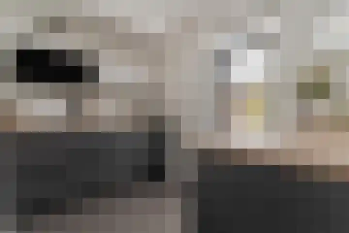 Vrangendael 79 Sittard thumbnail 16