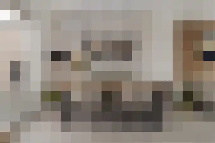 Vrangendael 79 Sittard thumbnail 19