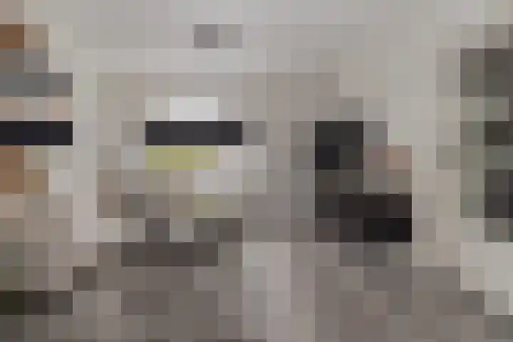 Vrangendael 79 Sittard foto 2