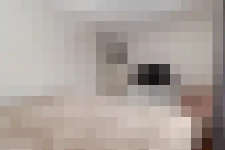 Vrangendael 79 Sittard thumbnail 22