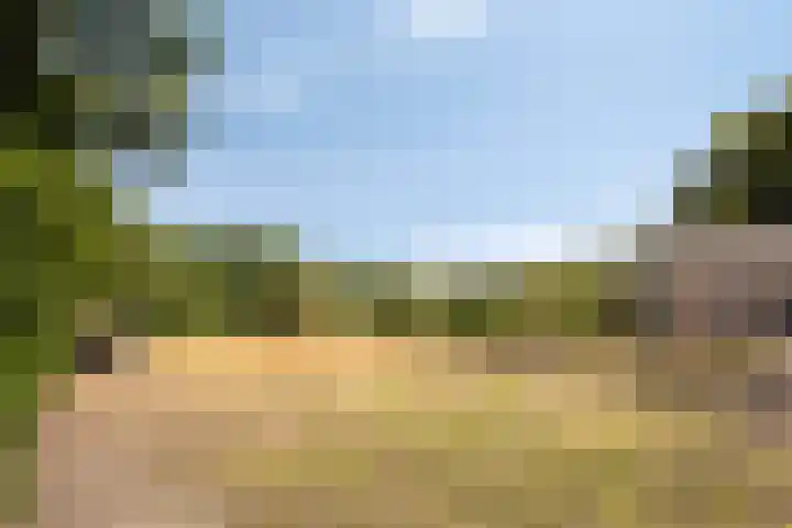 Vrangendael 79 Sittard thumbnail 27