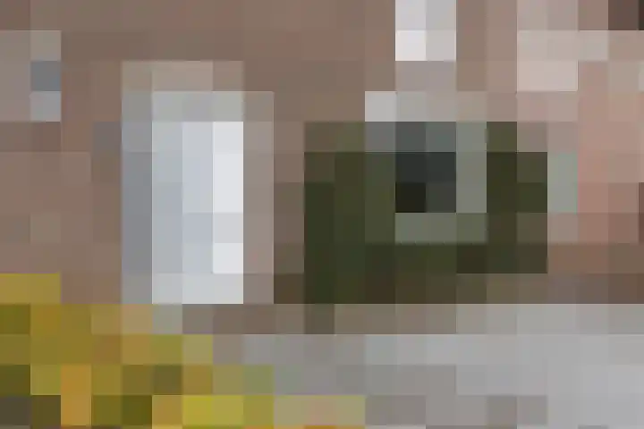 Vrangendael 79 Sittard thumbnail 9