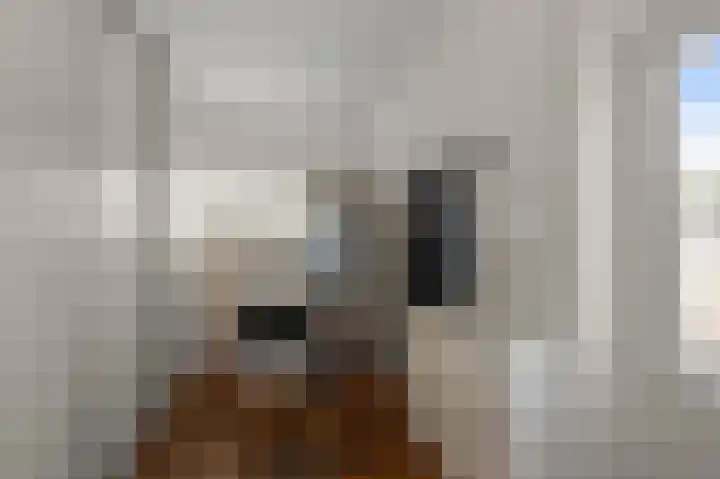 Vredeburglaan 16 Limmen thumbnail 10