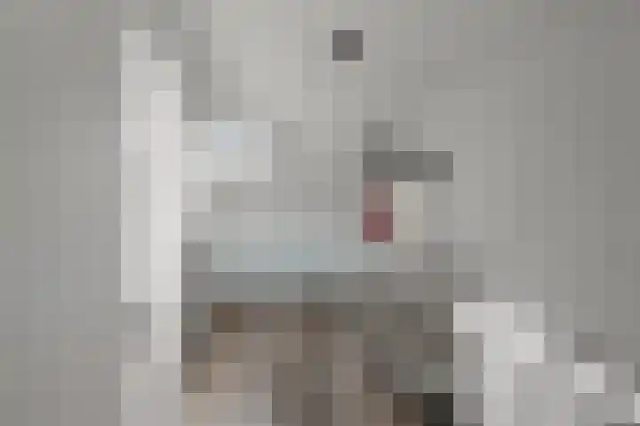 Vredeburglaan 16 Limmen thumbnail 22