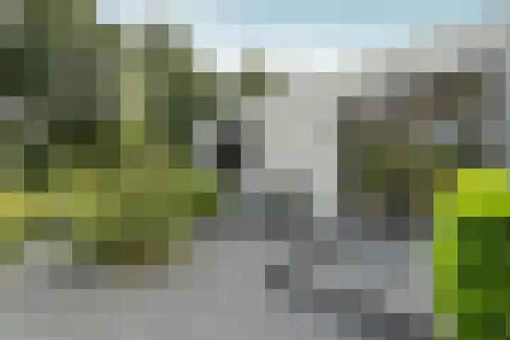 Vredelaan 11 Almere thumbnail 13