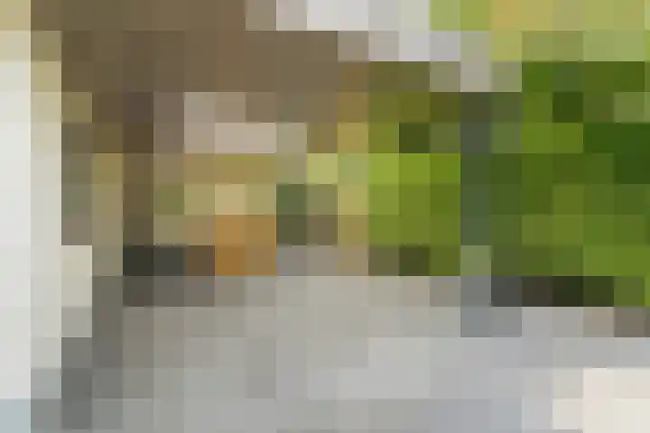Vredelaan 11 Almere thumbnail 15