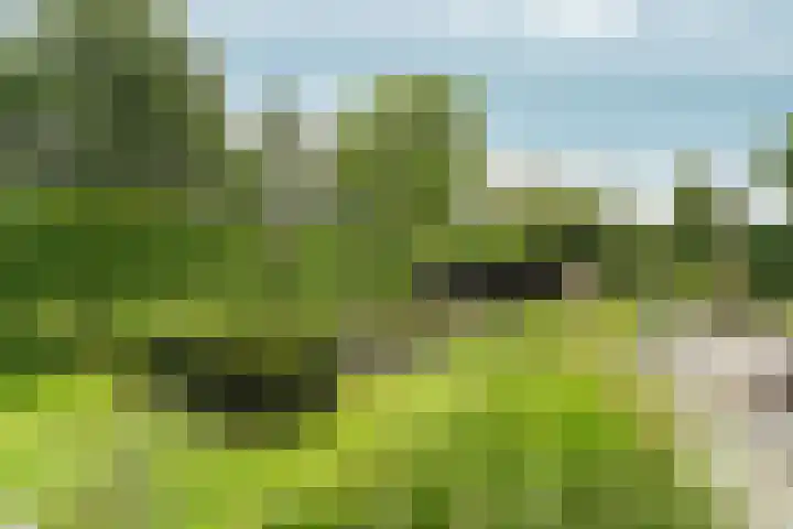 Vredelaan 11 Almere thumbnail 54