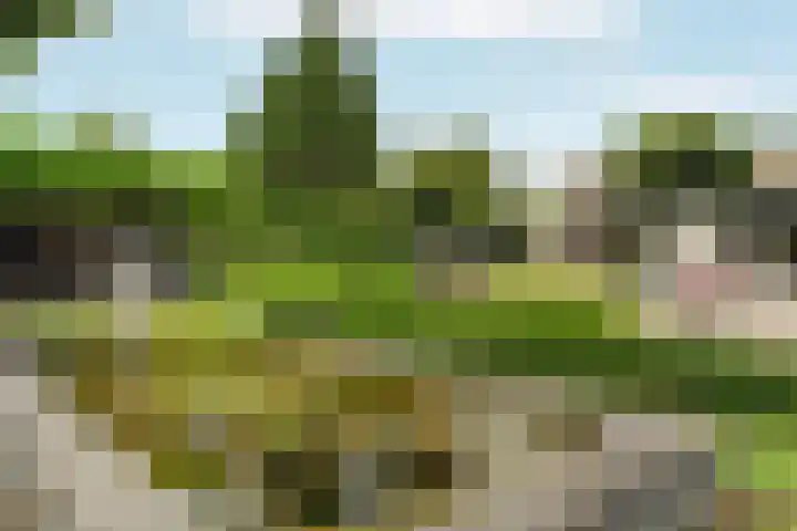 Vredelaan 11 Almere thumbnail 59