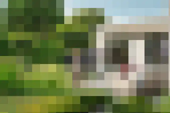 Vredelaan 11 Almere thumbnail 60