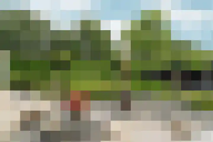 Vredelaan 11 Almere thumbnail 65