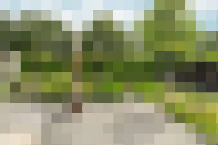 Vredelaan 11 Almere thumbnail 68