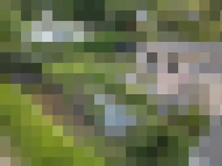 Vredelaan 11 Almere thumbnail 72
