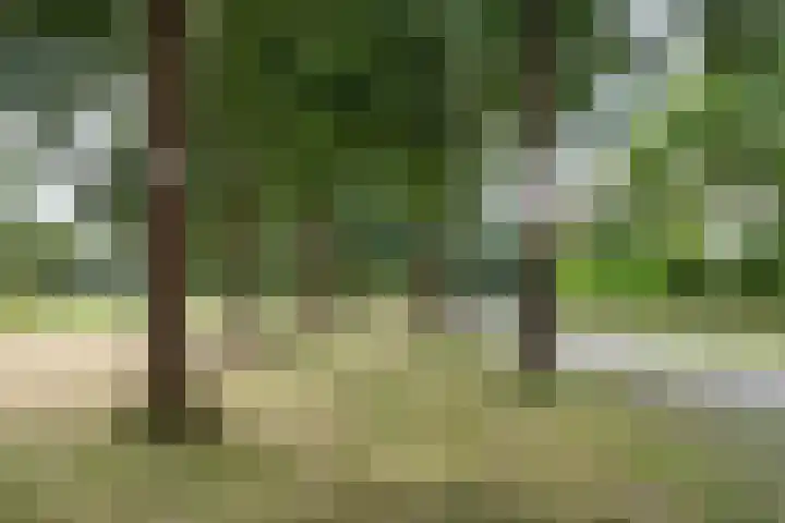 Vredelaan 11 Almere thumbnail 74