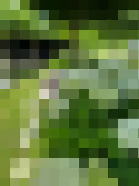 Vredelaan 11 Almere thumbnail 76