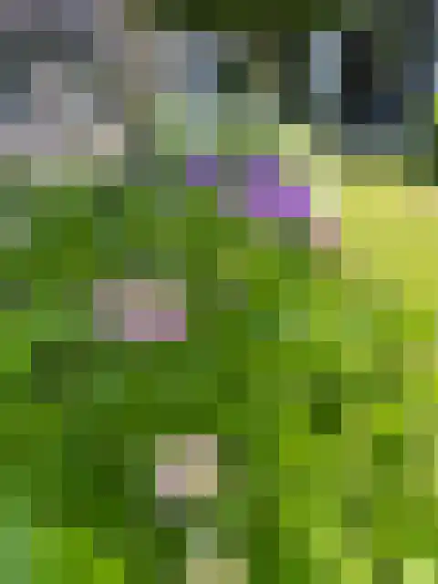 Vredelaan 11 Almere thumbnail 79