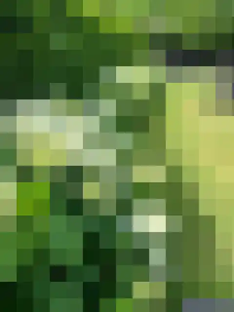 Vredelaan 11 Almere thumbnail 80