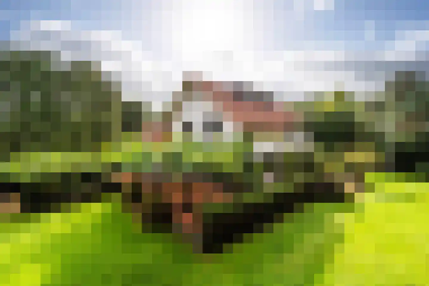 Vredelaan 23 in Laren