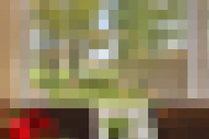Vredelaan 43 Roden thumbnail 12