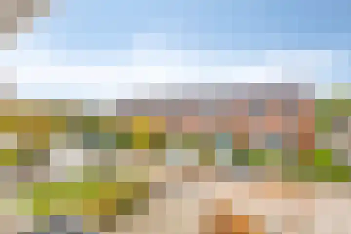Vredelaan 43 Roden thumbnail 24