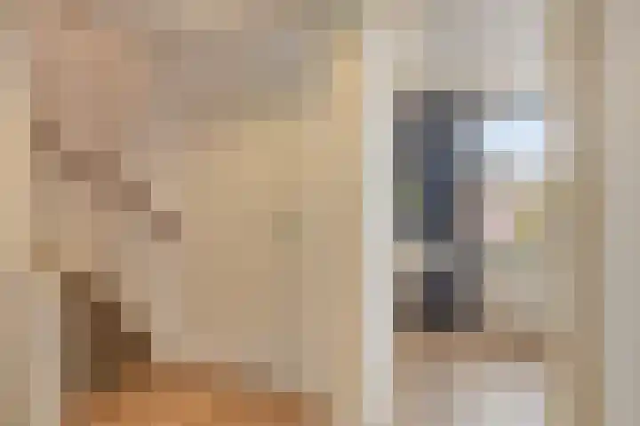 Vredelaan 43 Roden thumbnail 29