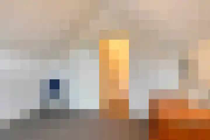 Vredelaan 43 Roden thumbnail 31