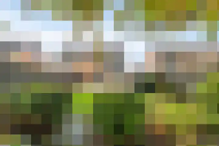 Vredelaan 43 Roden thumbnail 33