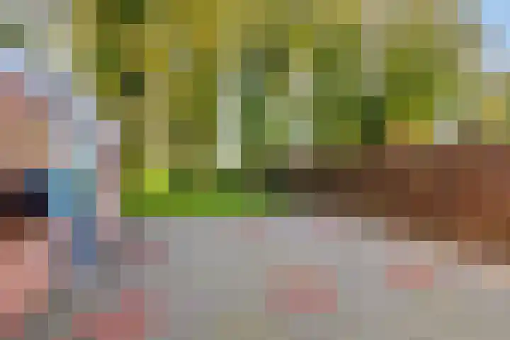 Vredelaan 43 Roden thumbnail 36