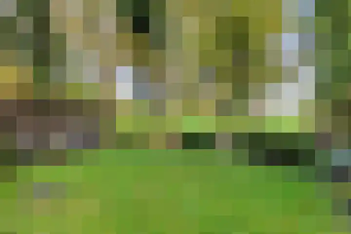 Vredelaan 43 Roden thumbnail 37