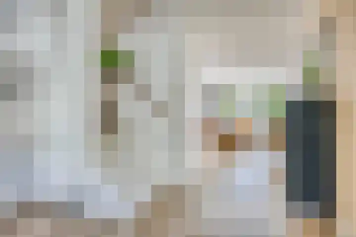Vredemaker 22 Zwaag thumbnail 10