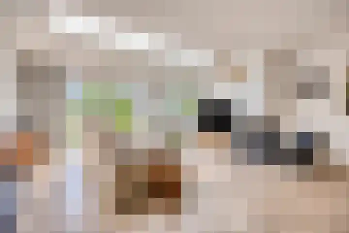 Vredemaker 22 Zwaag thumbnail 11
