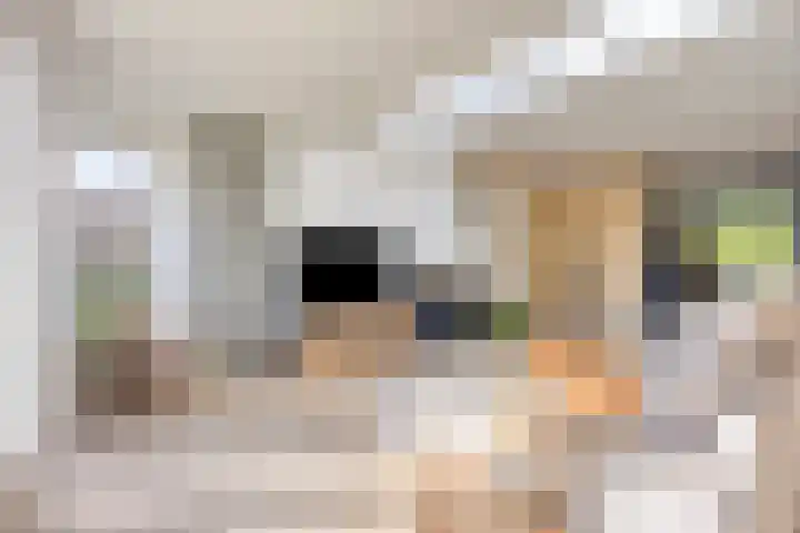 Vredemaker 22 Zwaag thumbnail 13