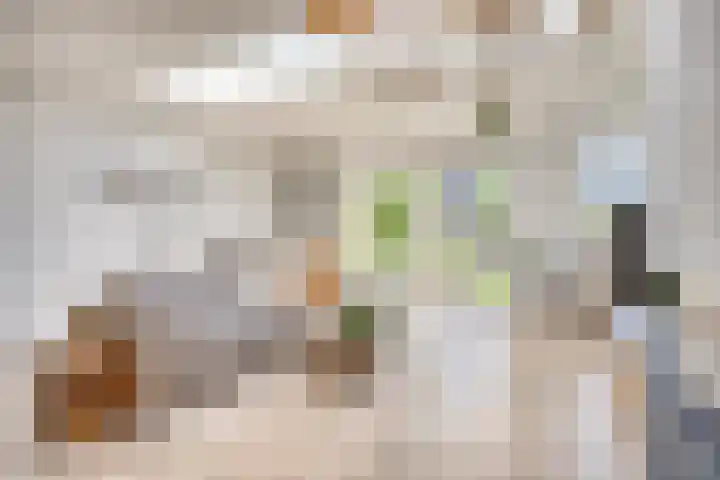 Vredemaker 22 Zwaag thumbnail 14