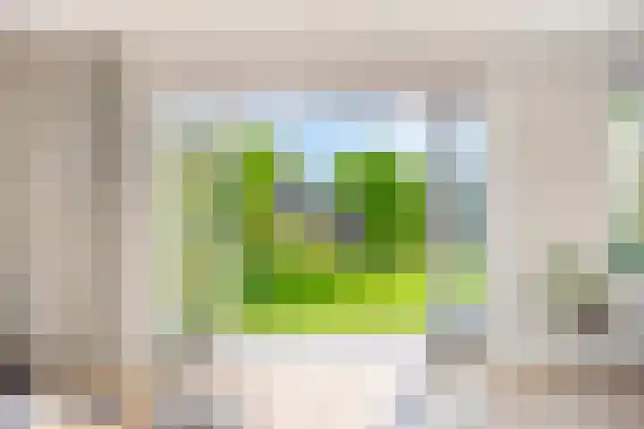Vredemaker 22 Zwaag thumbnail 19