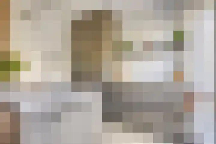 Vredemaker 22 Zwaag thumbnail 22