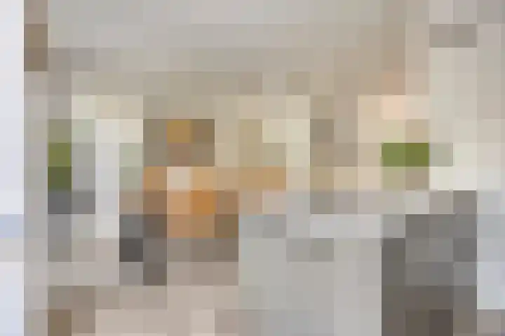 Vredemaker 22 Zwaag thumbnail 24