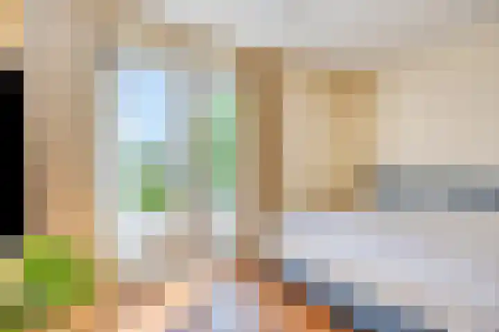 Vredemaker 22 Zwaag thumbnail 31